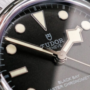 Tudor Black Bay Black Ceramic 2025