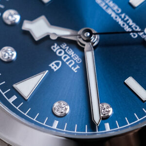 Tudor Black Bay 39 Diamond Index 79660