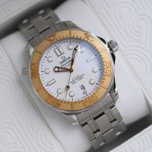 Omega Seamaster Olympic PARIS 2024 Special Edition